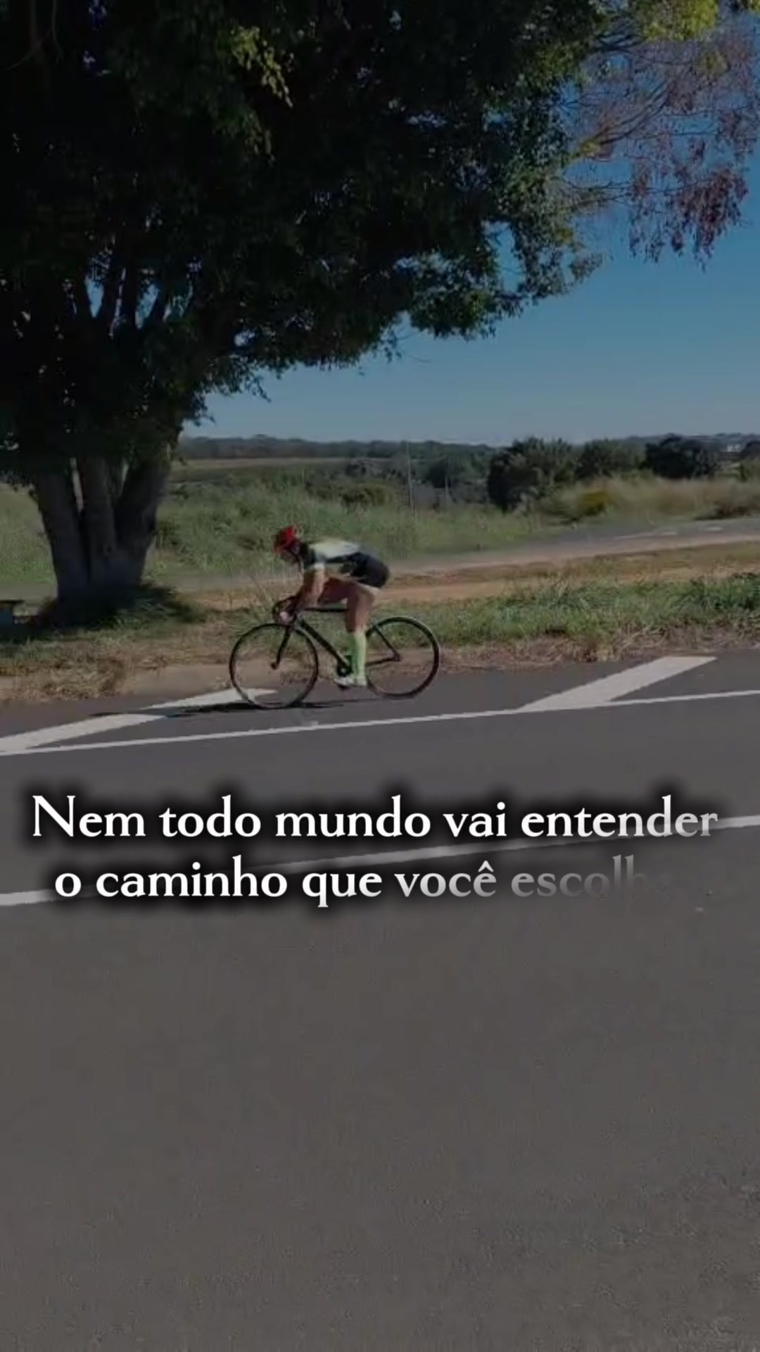 @Camila Costa