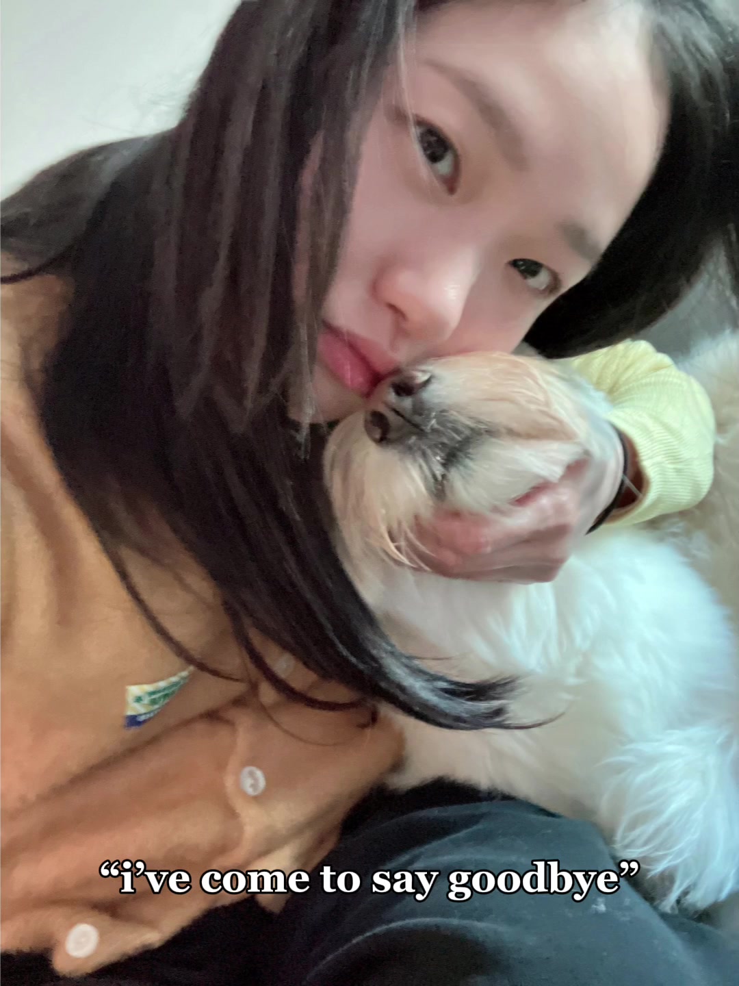 @은솔 ᥫ᭡