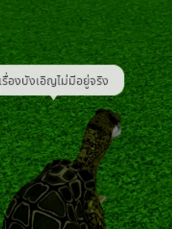 @KaiToon