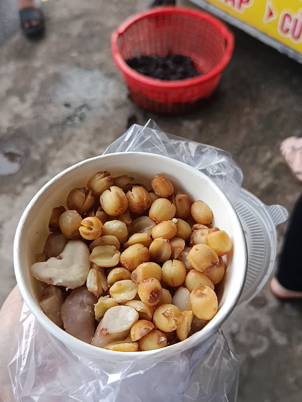 @Nhà Xe Tấn Tài An Giang