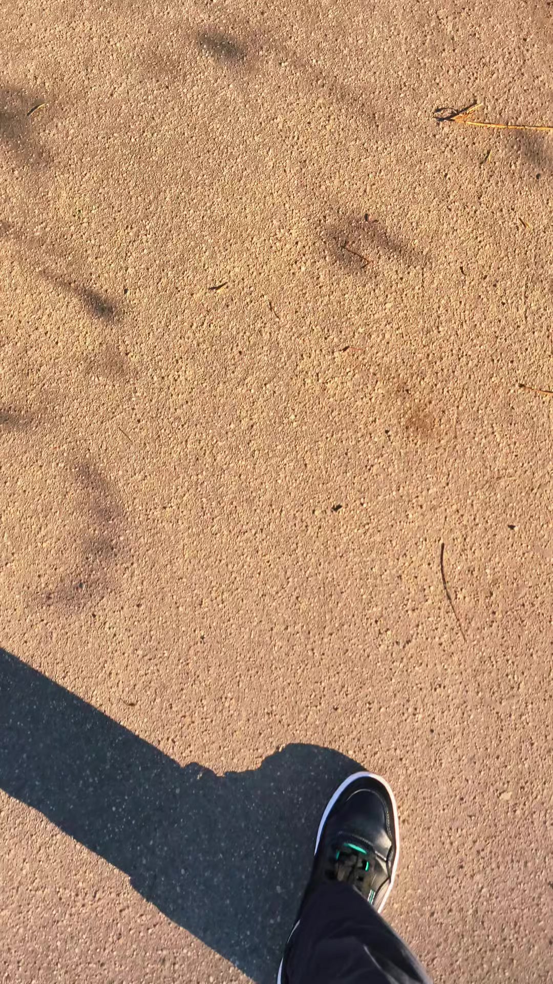 @STRAPKOOO