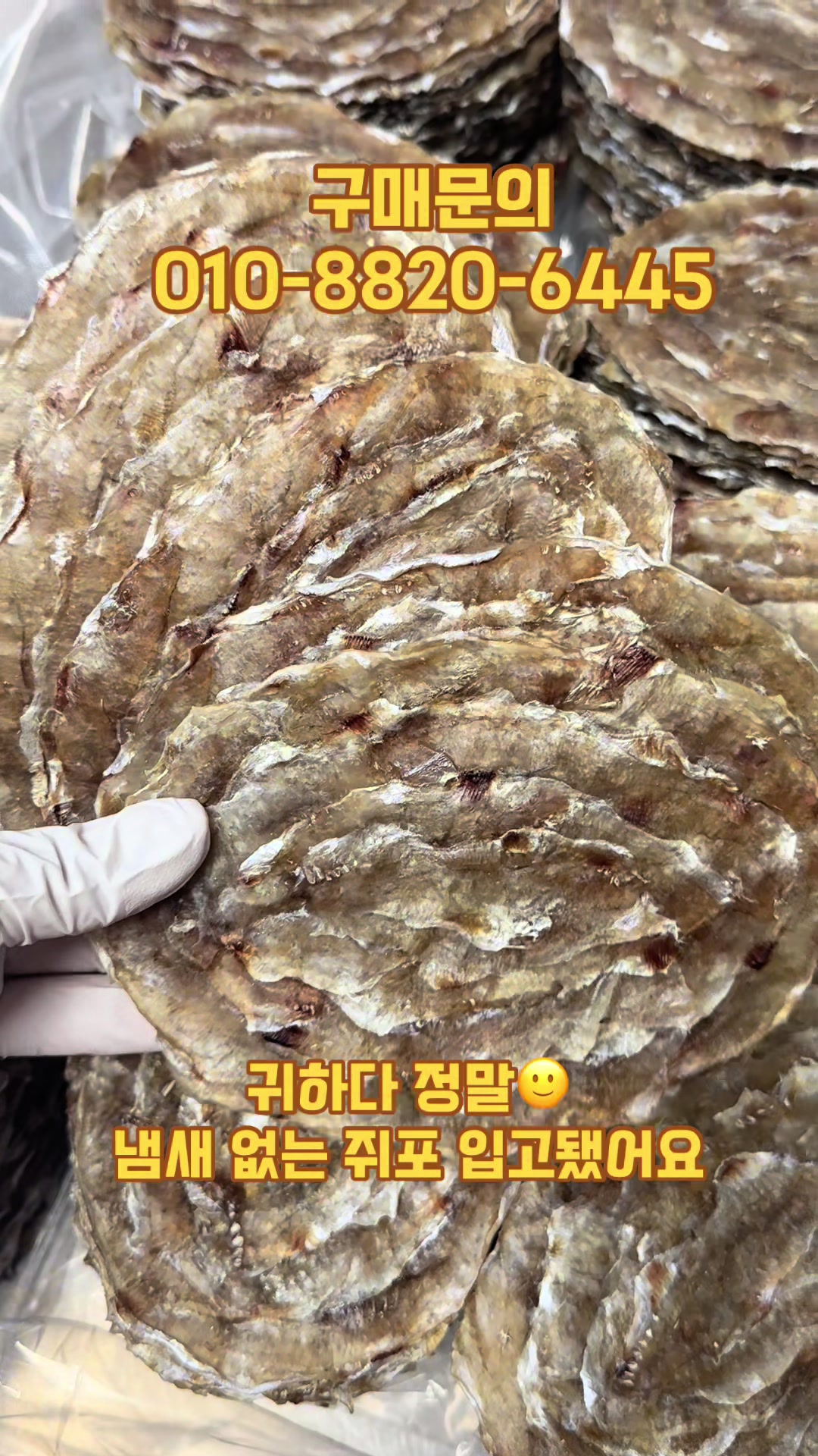 @숭사장(서산마른여자네건어물)🦑