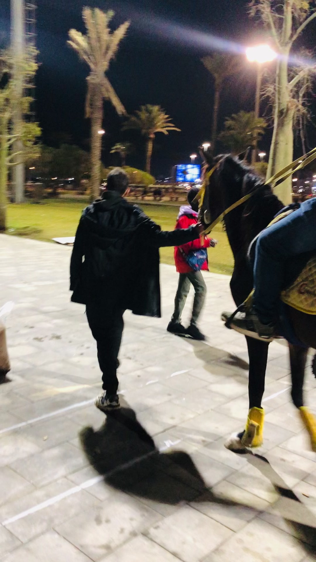 @محمد ناجي العويب☝️🦅🇱🇾