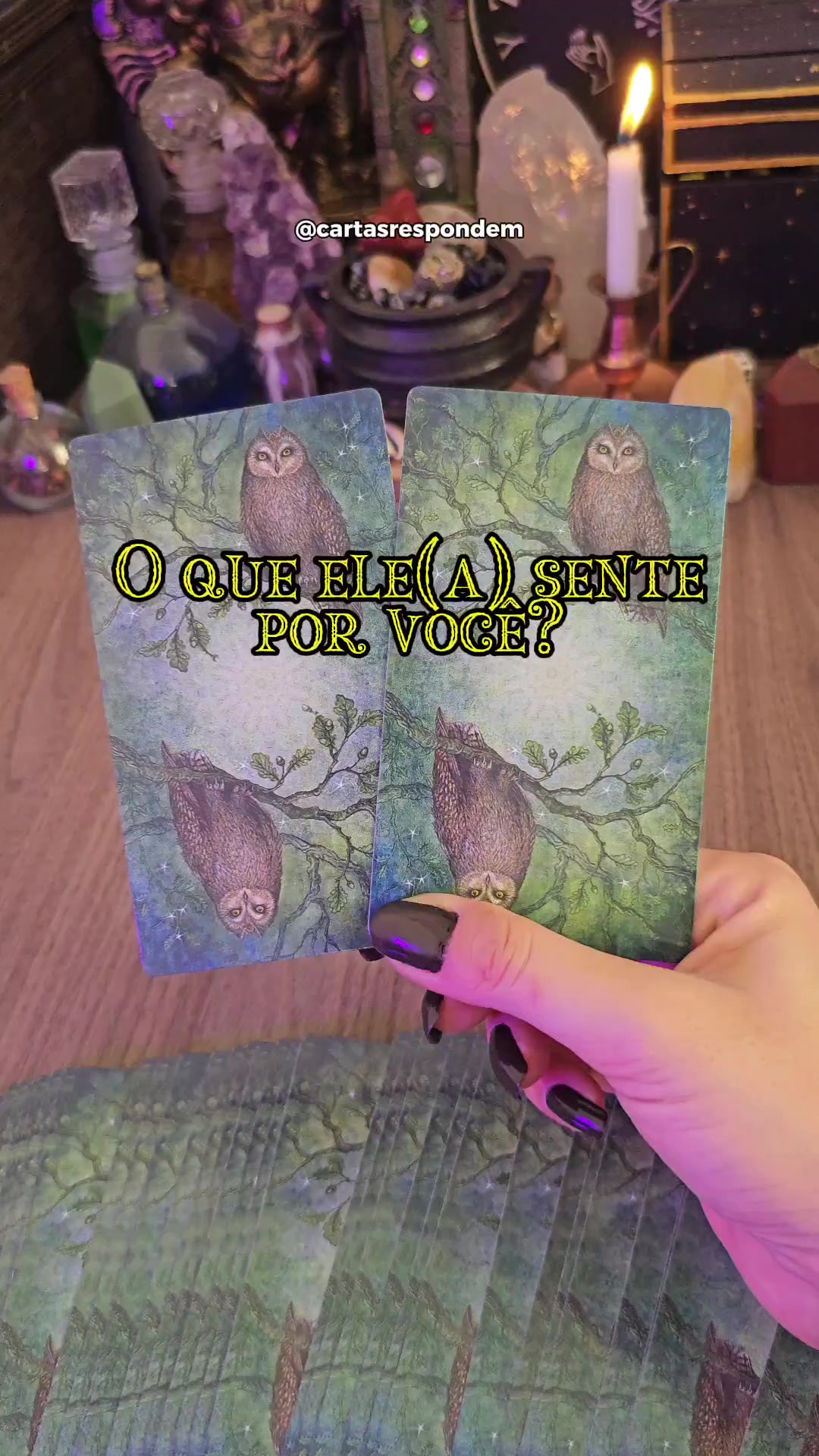 @D&eacute;bora Barbosa/tar&ocirc;