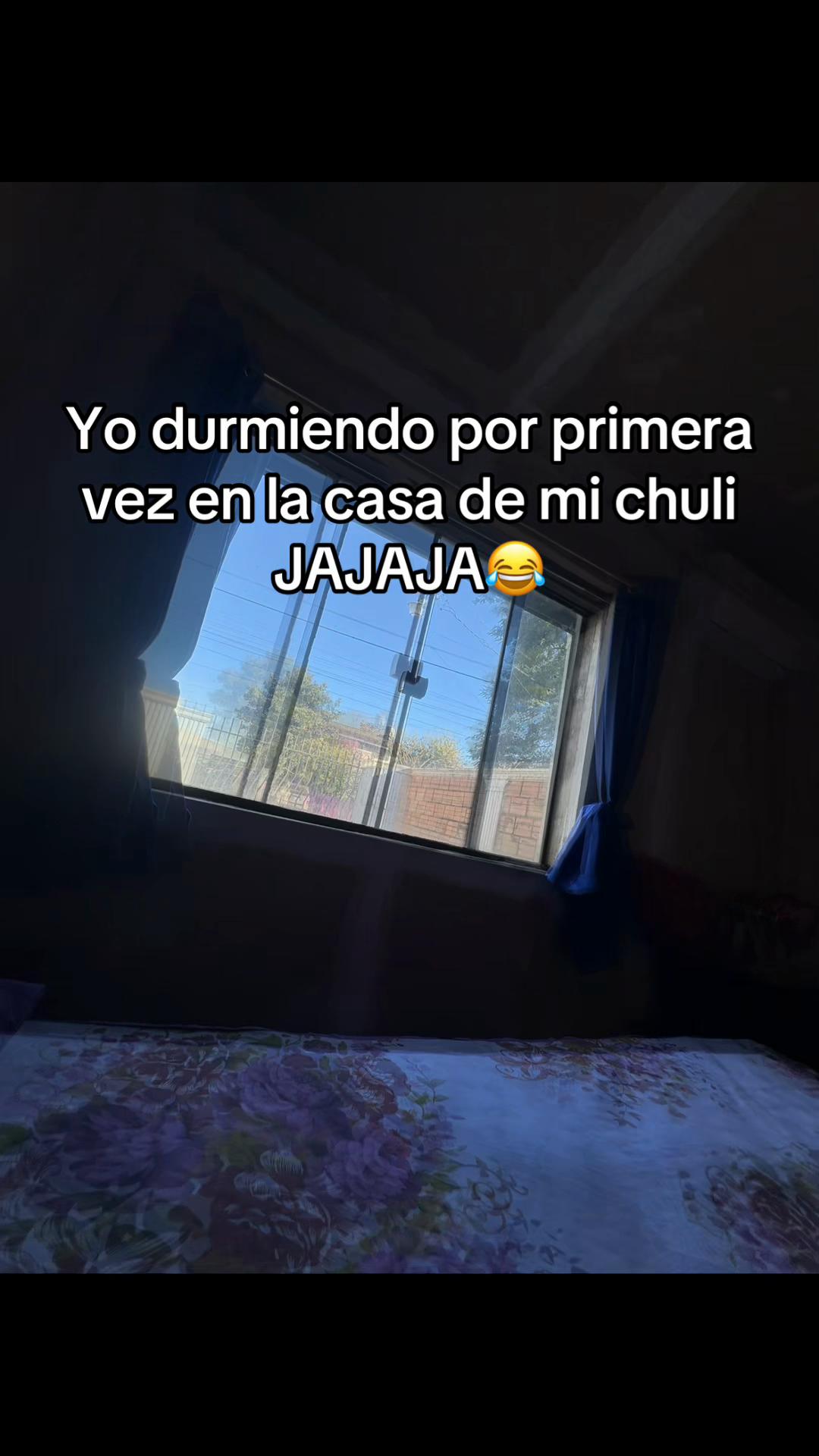 @Alicia Ayala 🍪🧚♀️✨