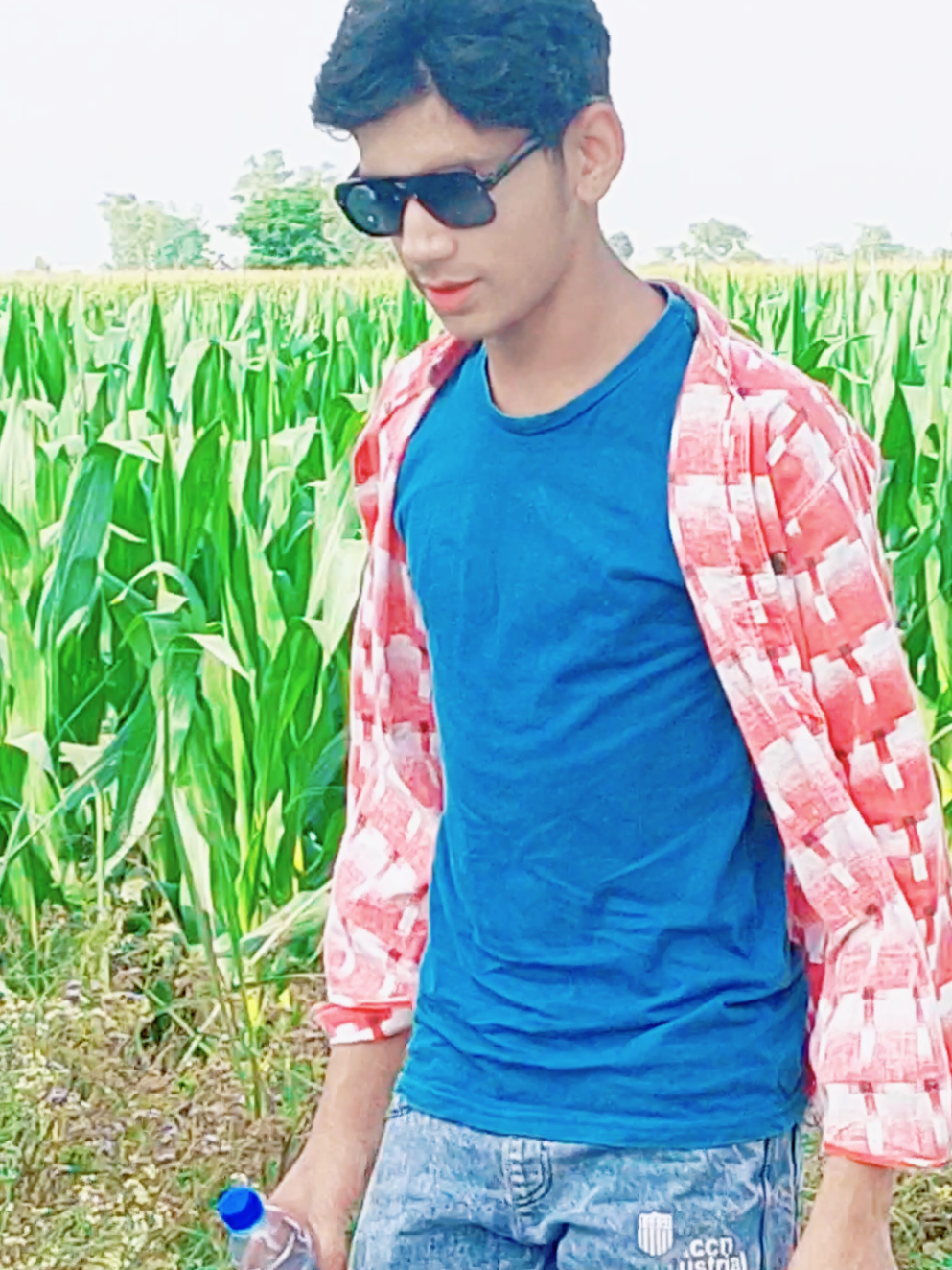 @Riaz Goree 433