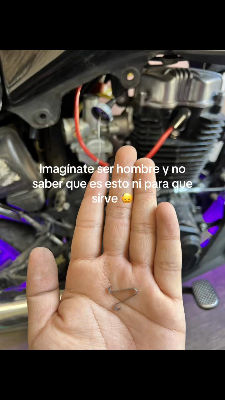 @Alex 🕷️