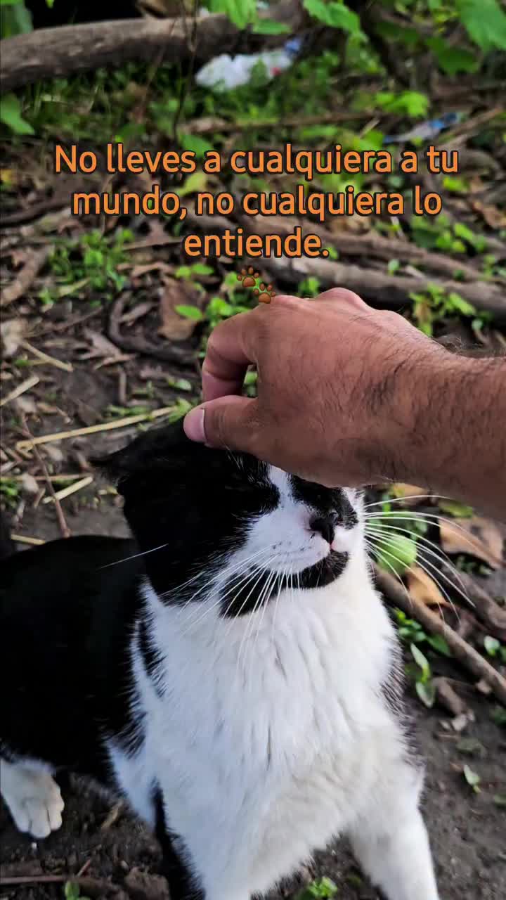 @🇲🇽Guli.Carrada 🐈&zwj;⬛