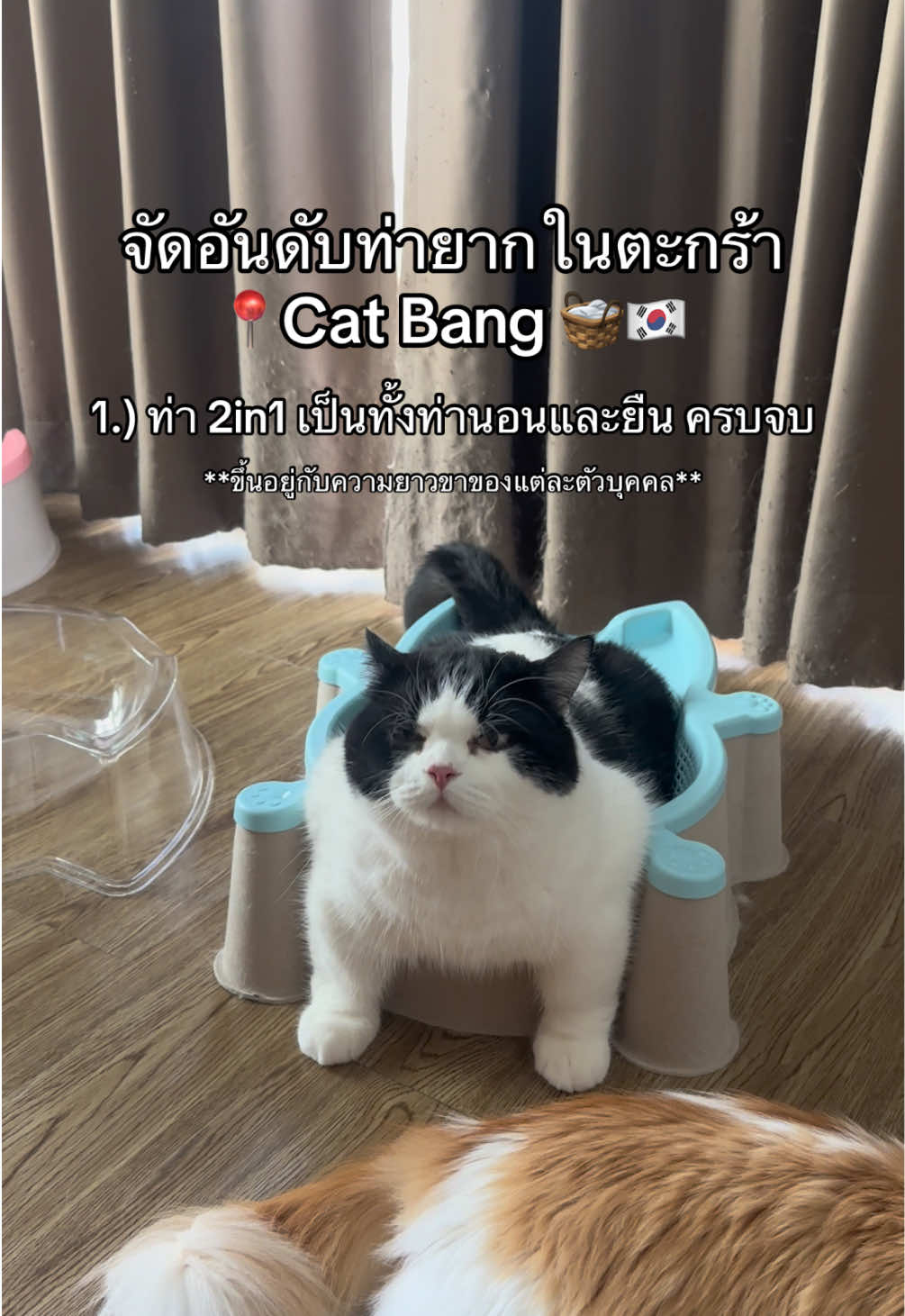 @เยอร์เก้นอยากเป็นดารา