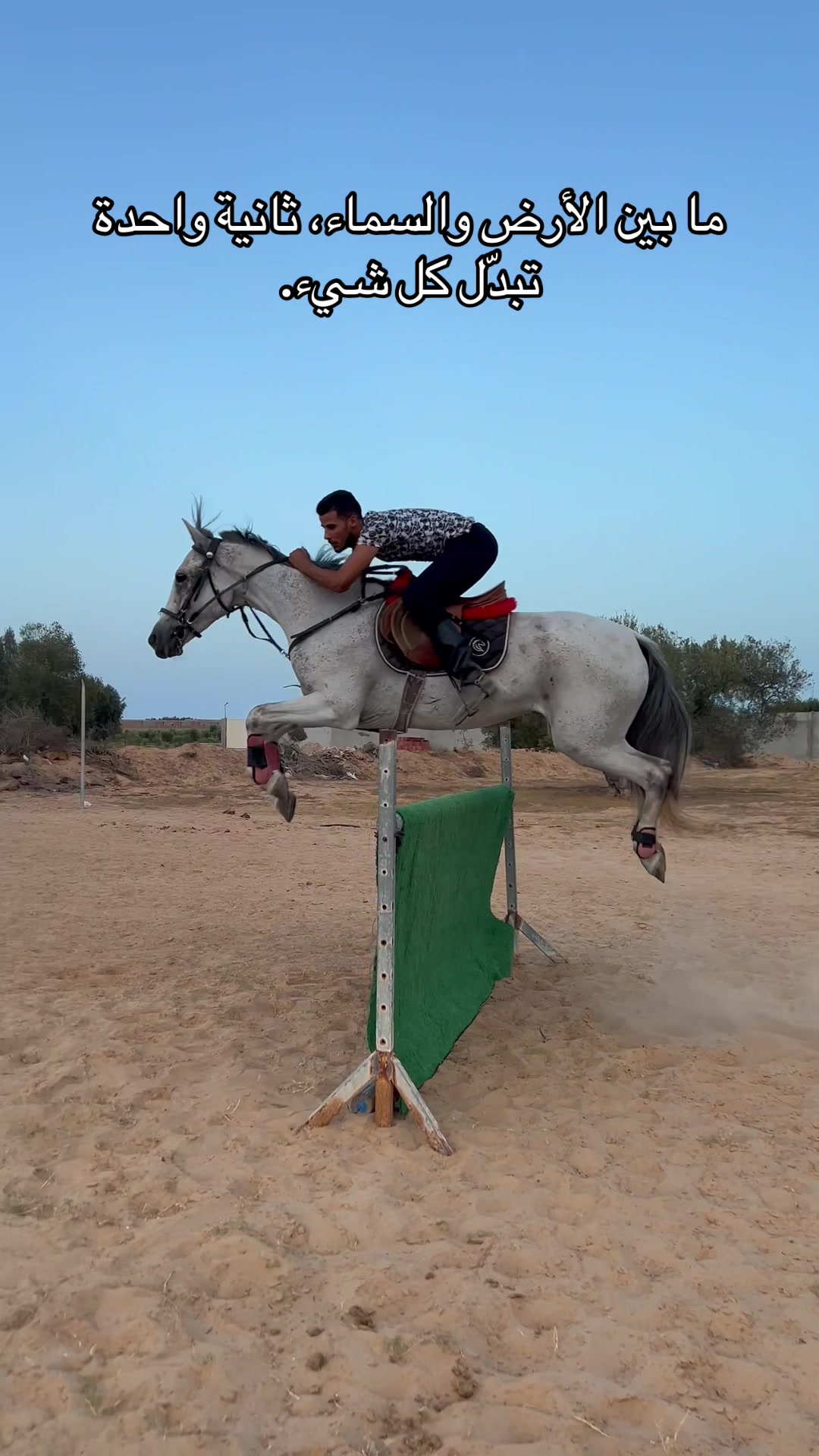@Feres Ben Amor 🏇