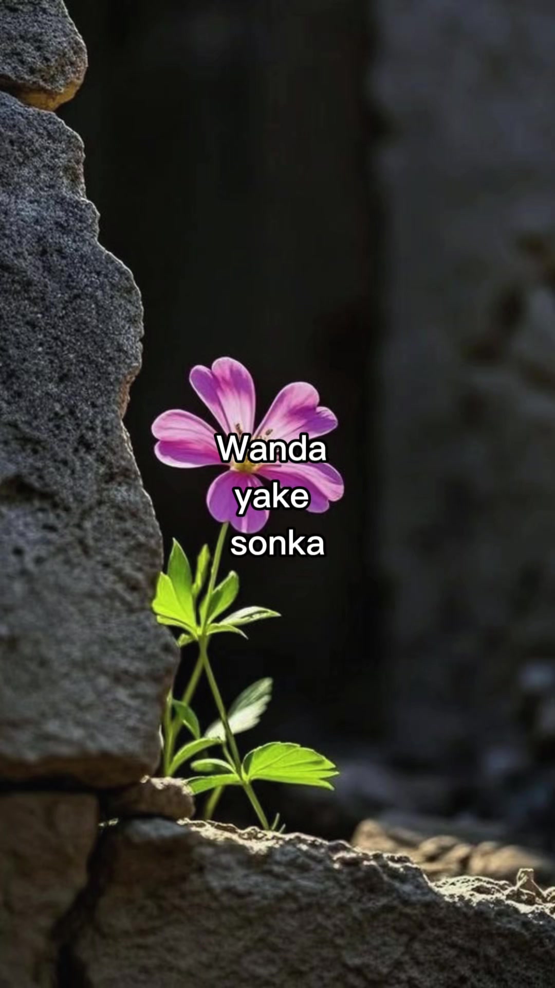 @hidden__soul2