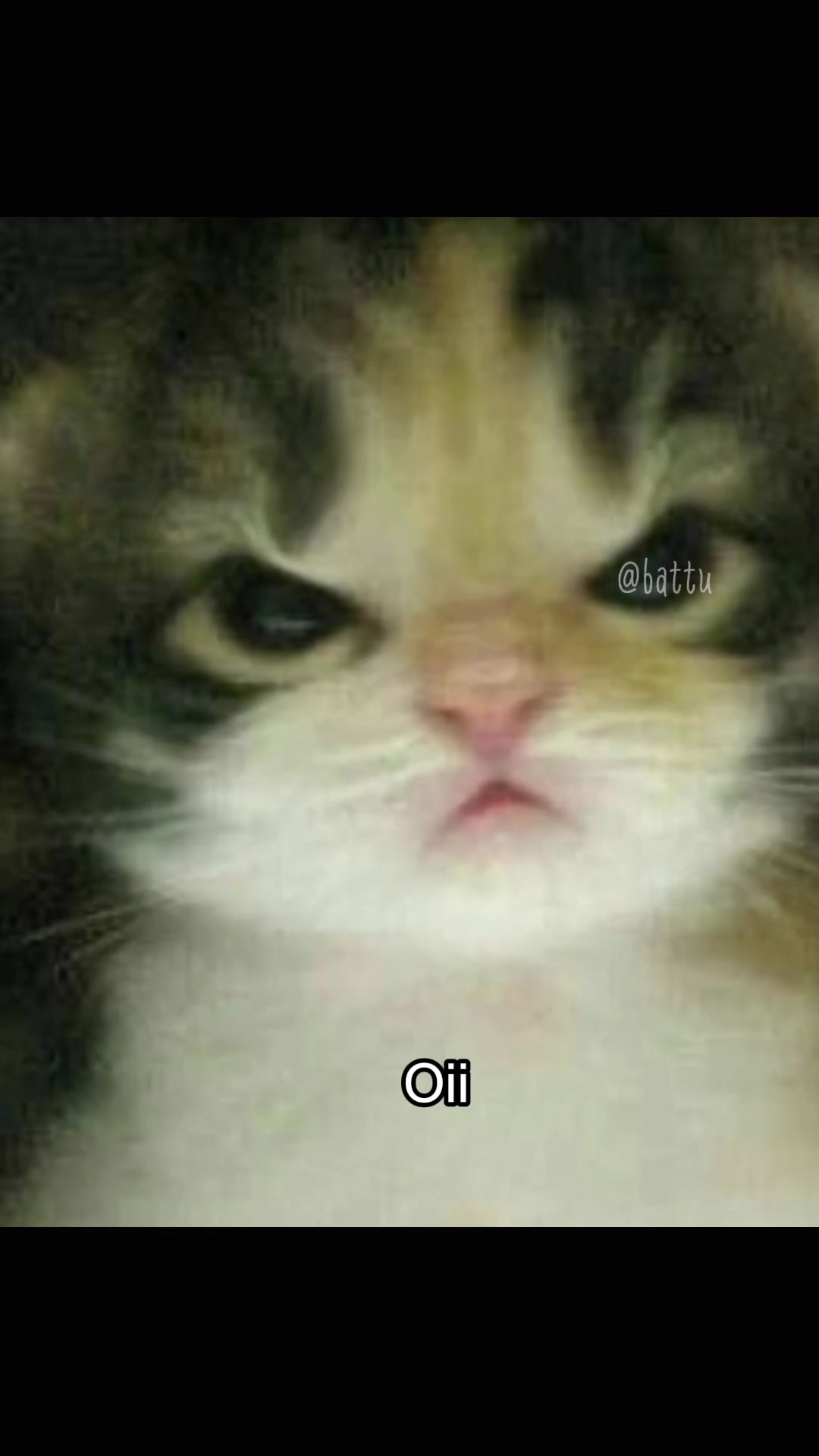 @Battu
