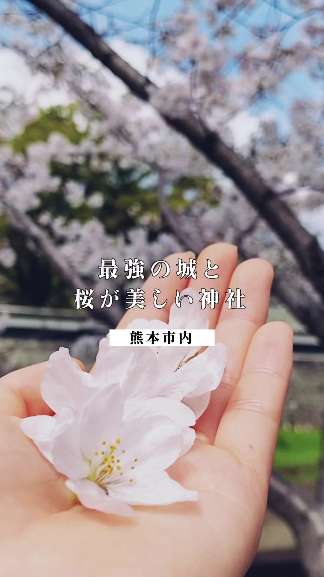 @徒然なるみさん|熊本の神社仏閣