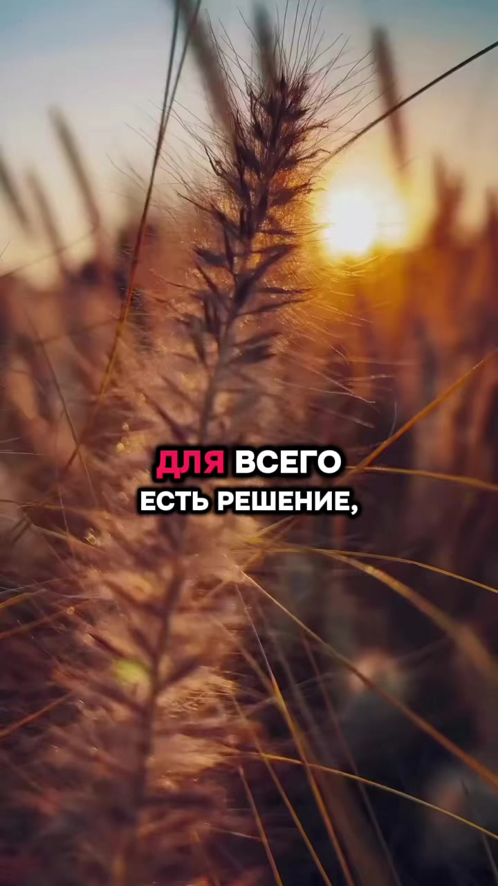 @Будь Лучшим