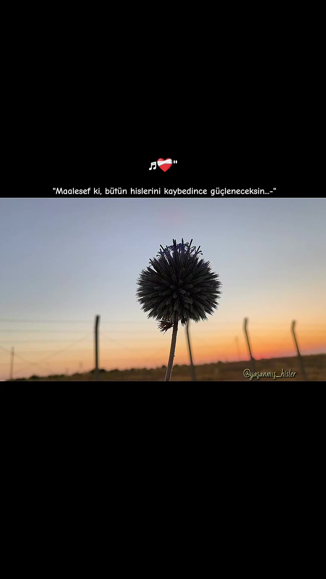 @•ʏᴀꜱ̧ᴀɴᴍɪꜱ̧ ʜɪ̇ꜱʟᴇʀ•
