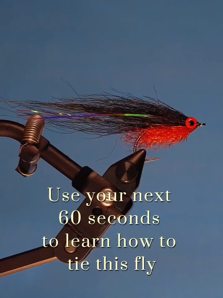 @veevusFishing