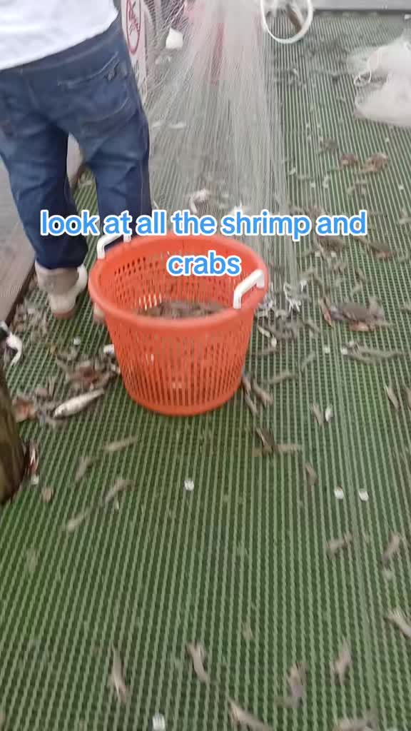 @SALTWATER SAB OUTDOORS