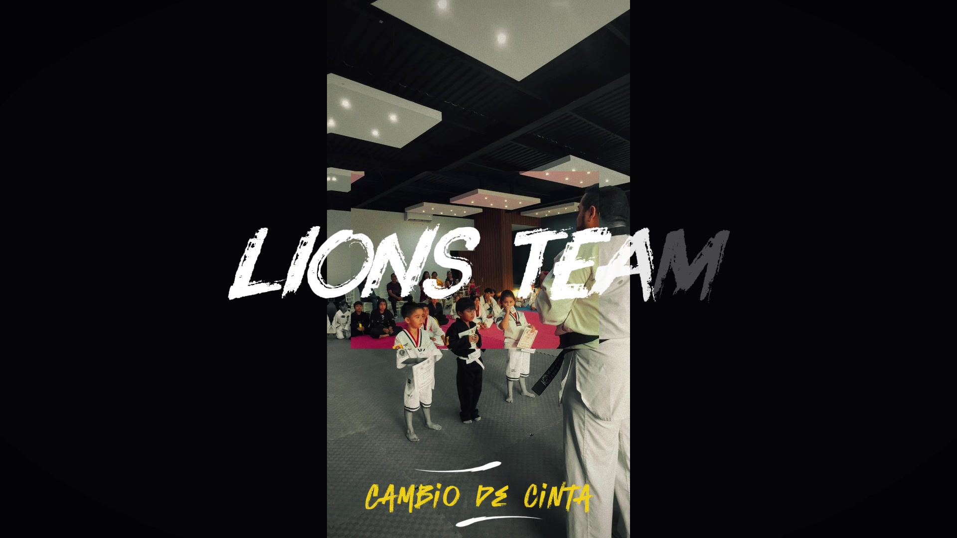 @taekwondolionsteam