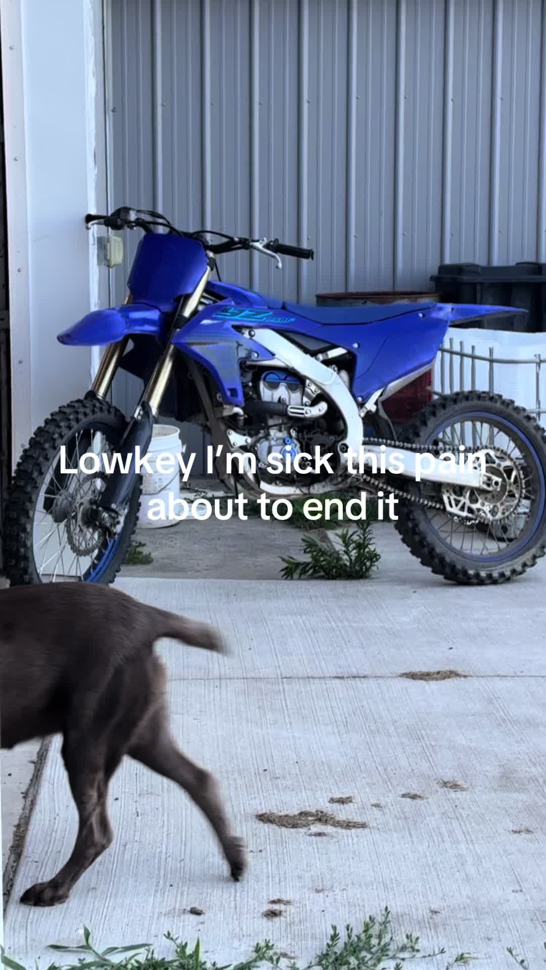 @Thatclappedttr125