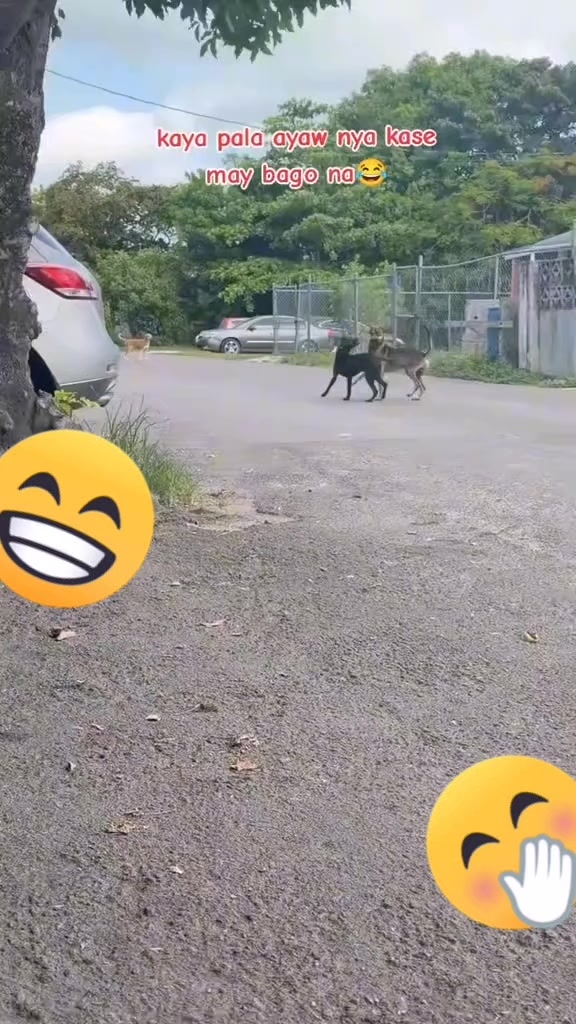 @NOOUF VLOG