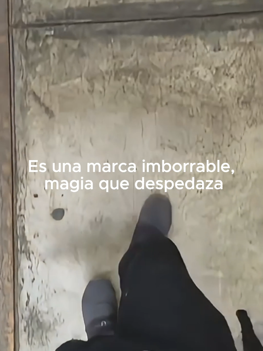 @Tamauta