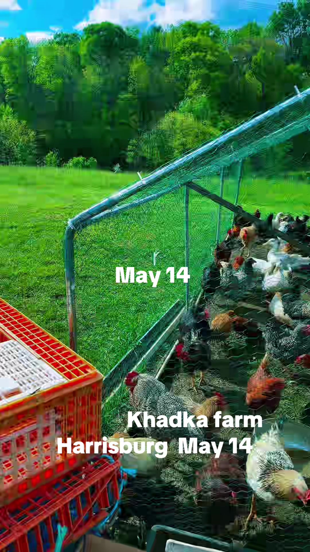 @Ratna khadka