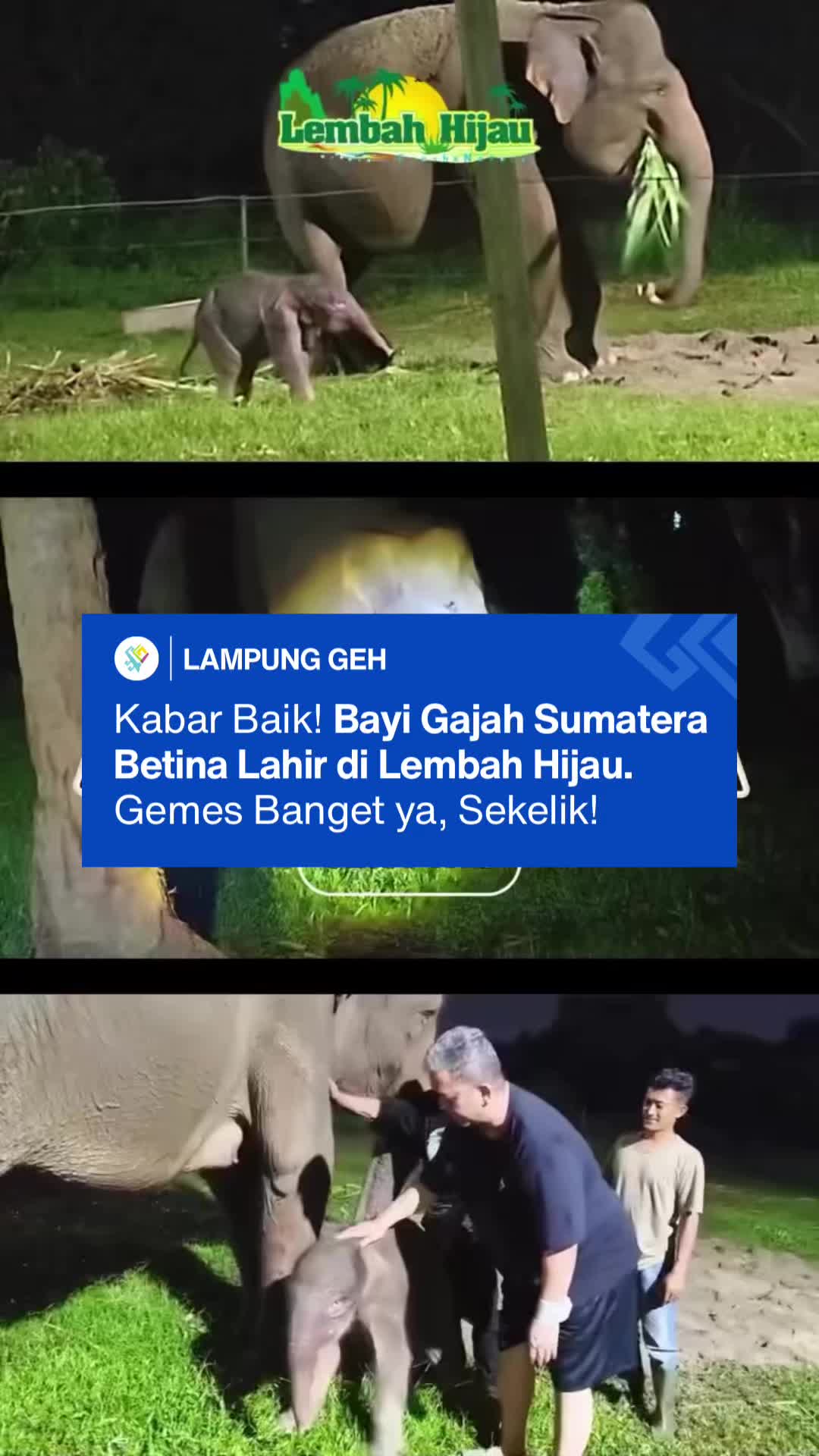 @Lampung Geh!
