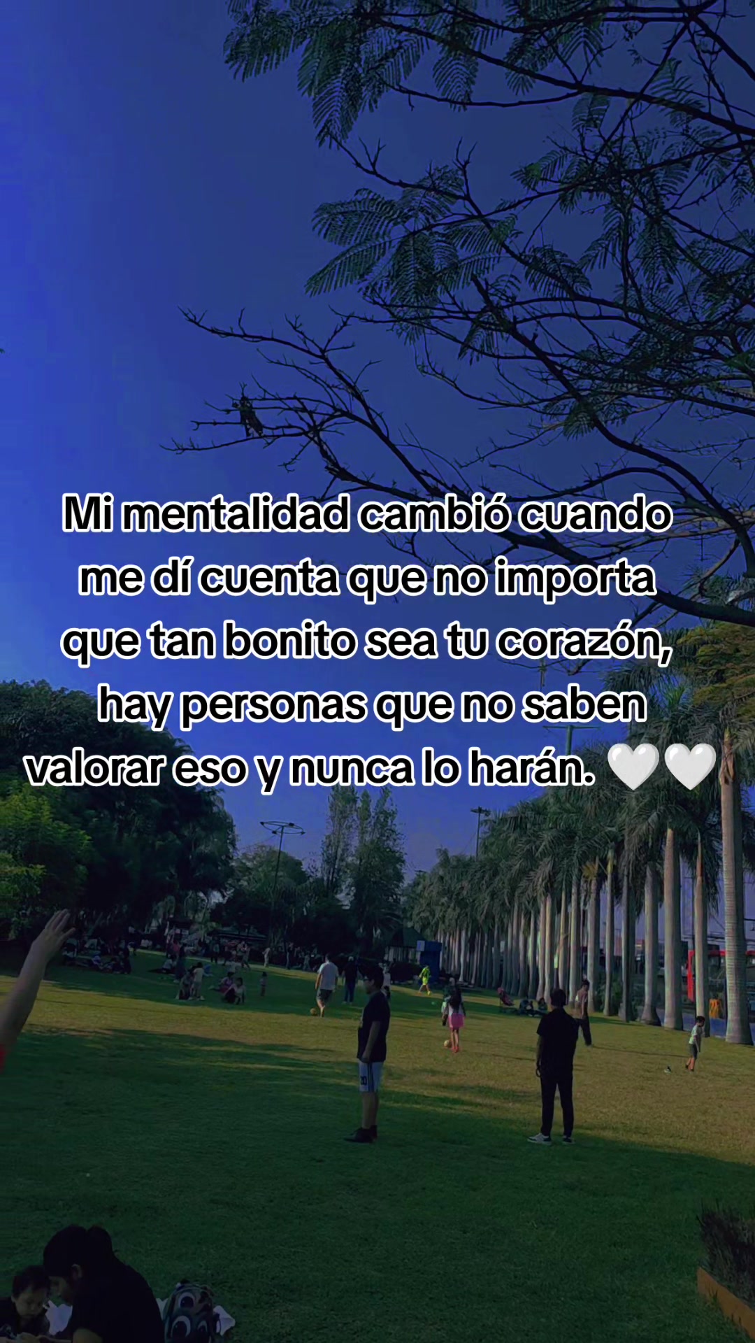 @😽 Rub&iacute; 😉 Silva🌞💙