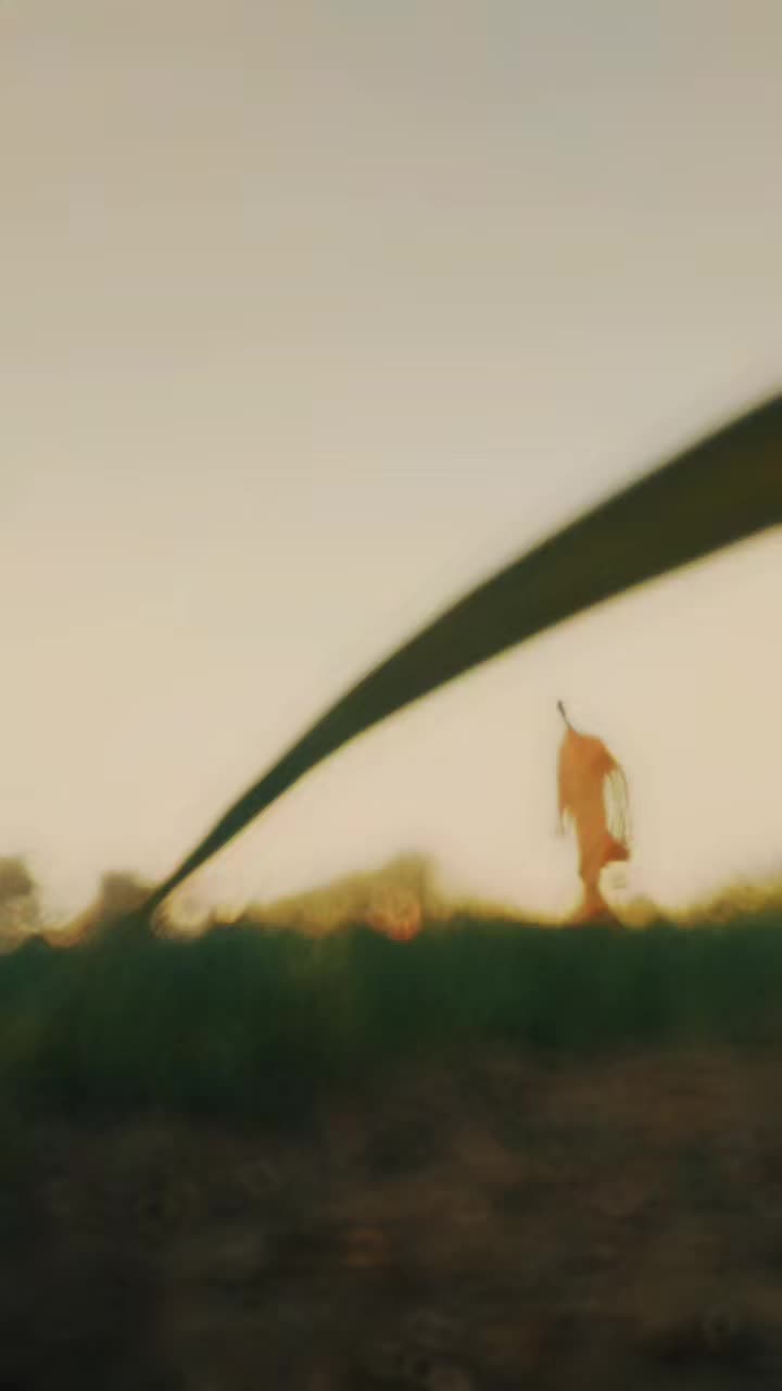 @𝙕i𝖘𝖍u🌸🥀