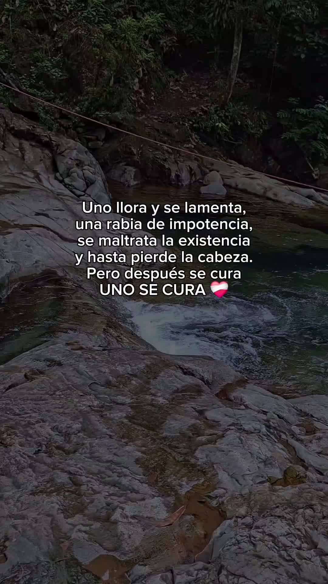 @🎧love_music.j♥️