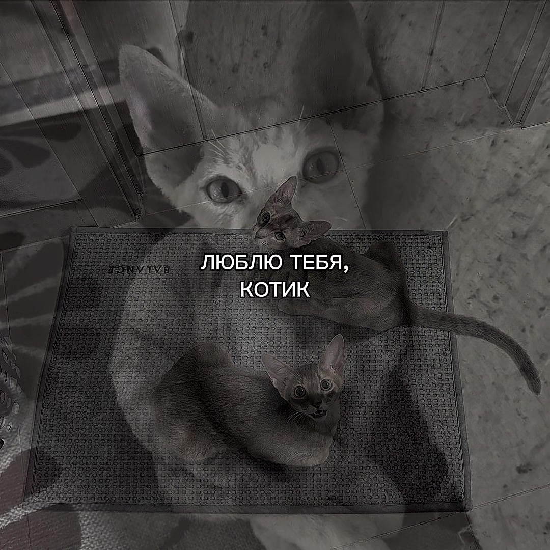 @ХХИКА