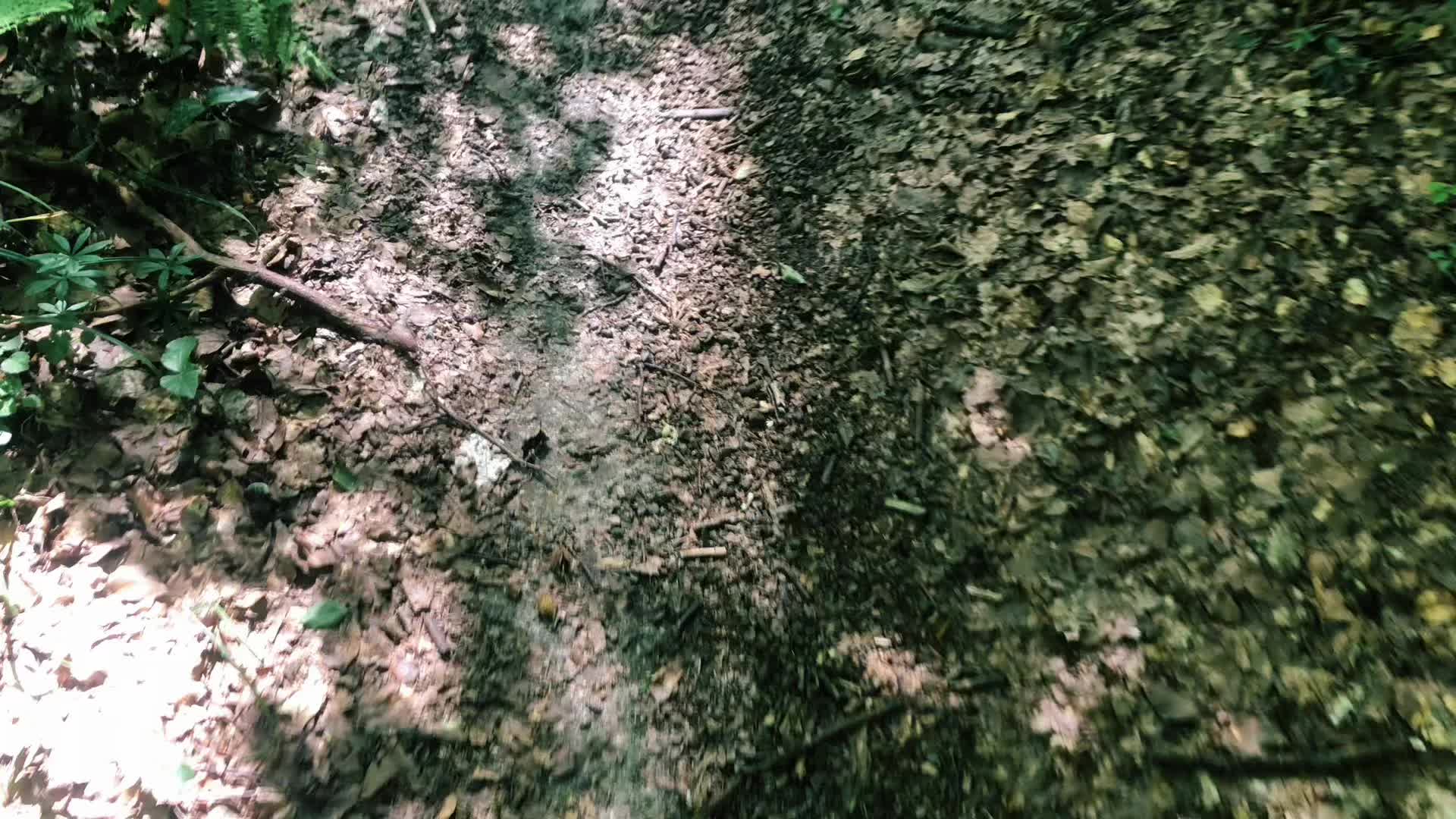 @нахуя я хуй сасал хуй сасал