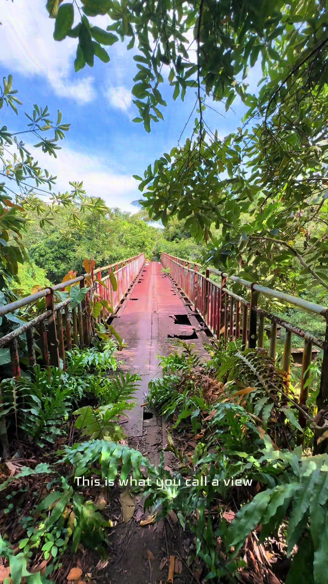 @Mauritius🇲🇺