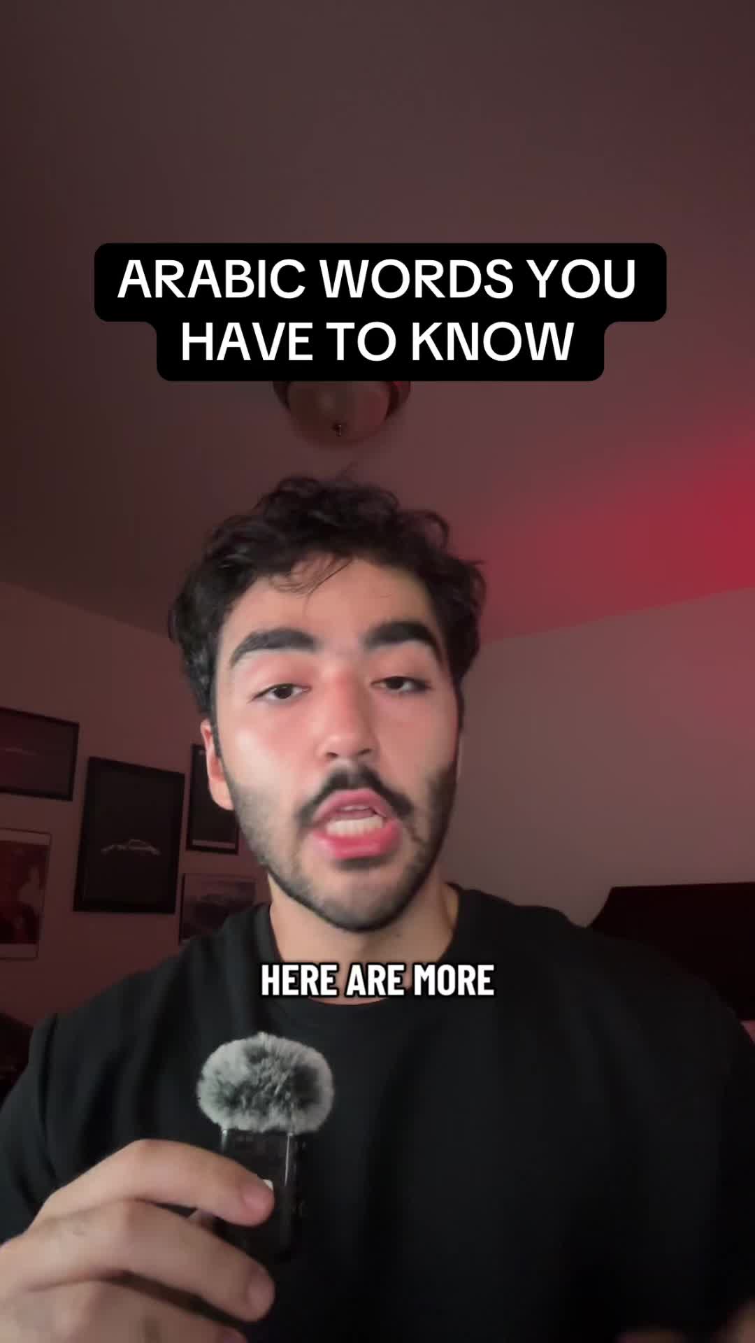 @mahdi.polyglot