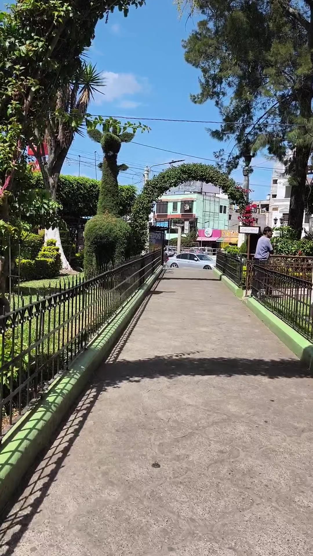 @𝓟𝓐𝓞🌷🌲