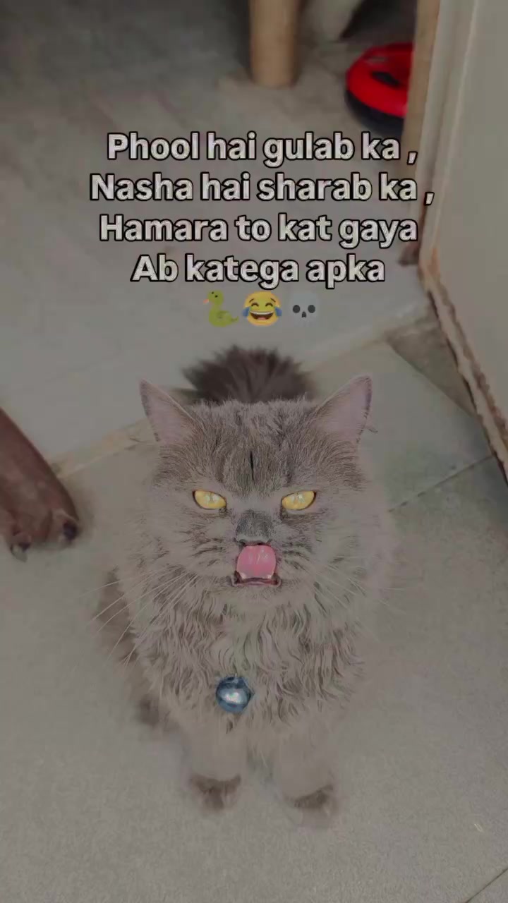@فَاطِمہَ🪾