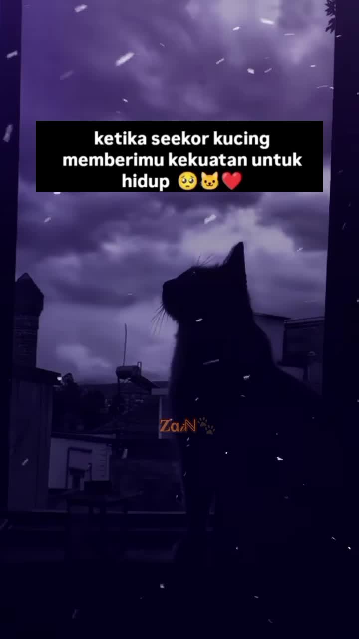 @𝐙&alpha;𝒾ℕ🐾
