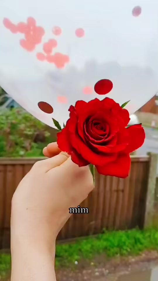 @ميم أختر _٢٤٢٨