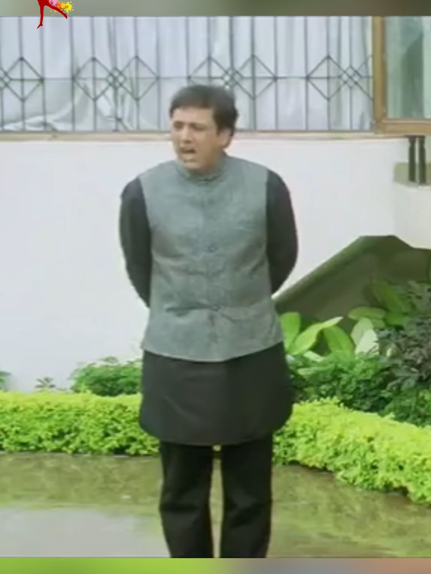 @Tootyfruity Bulbul