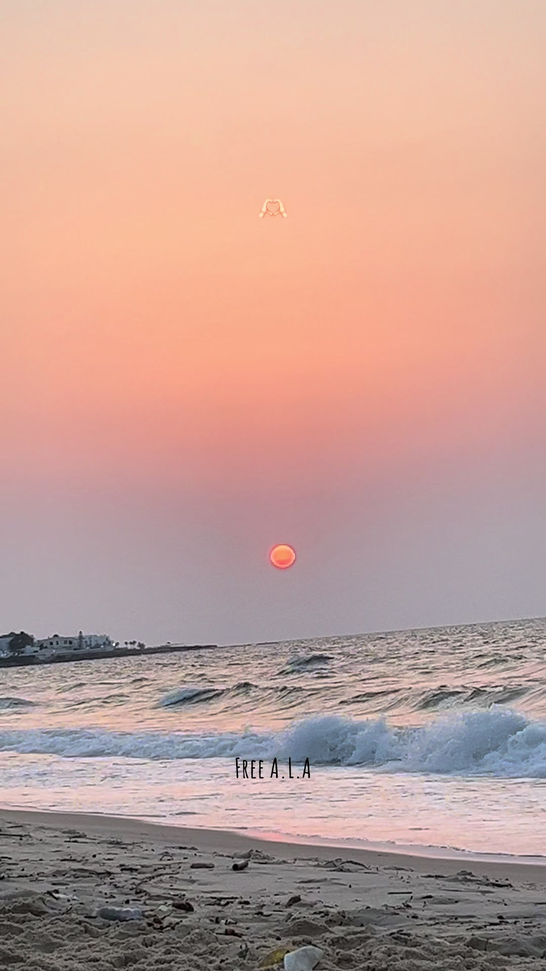 @tunivibes1