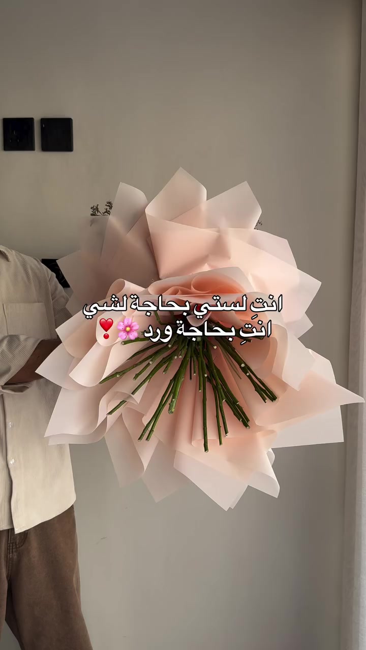 @مندوب ابها
