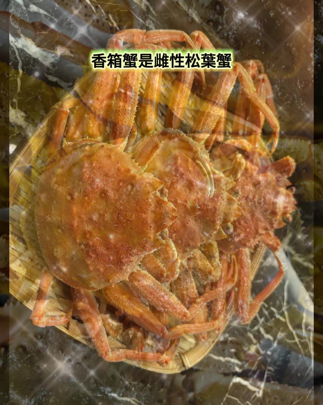 @阿那祭