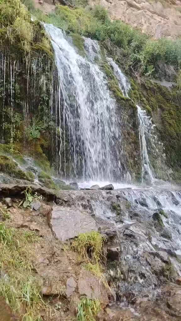@Dalniboyshik 101