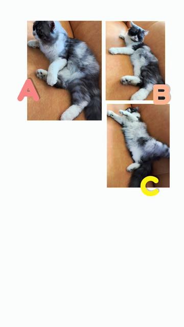 @🐱w!ne 🪺