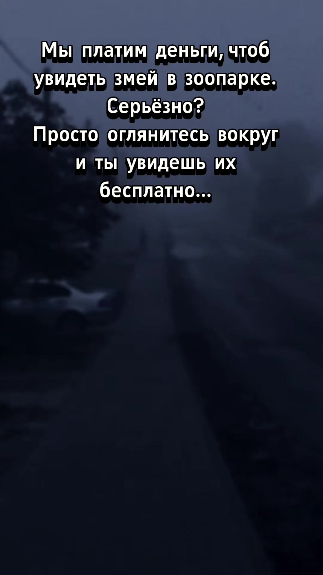 @Lesya Bronzova