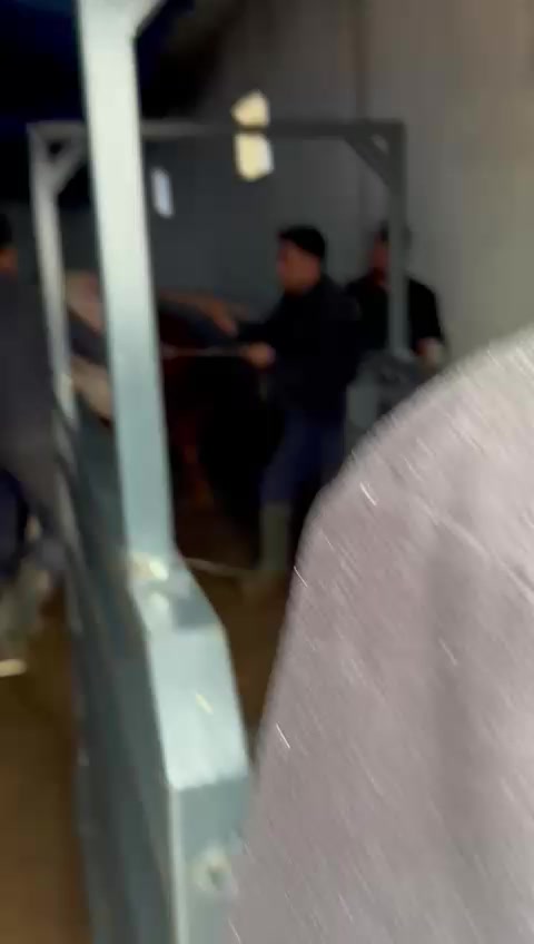 @Ali Çağlar