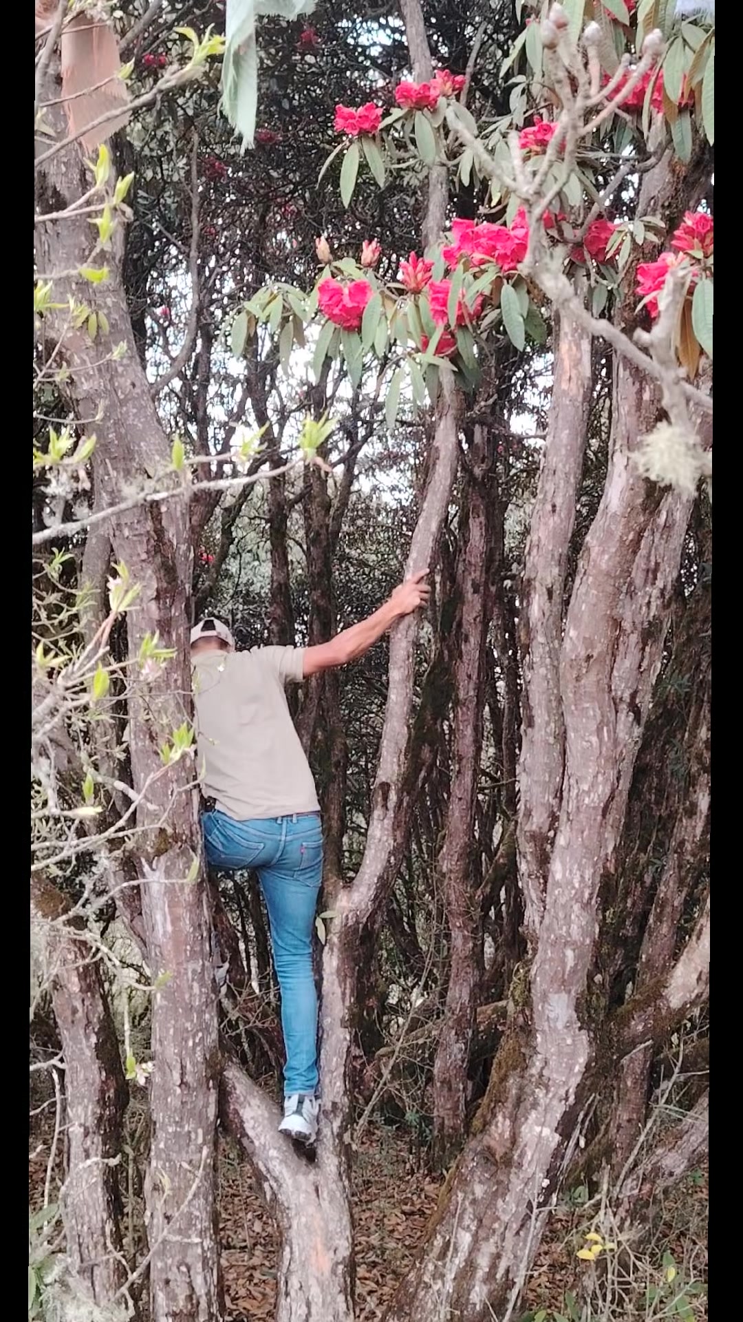 @अधिकारी लक्ष्मी