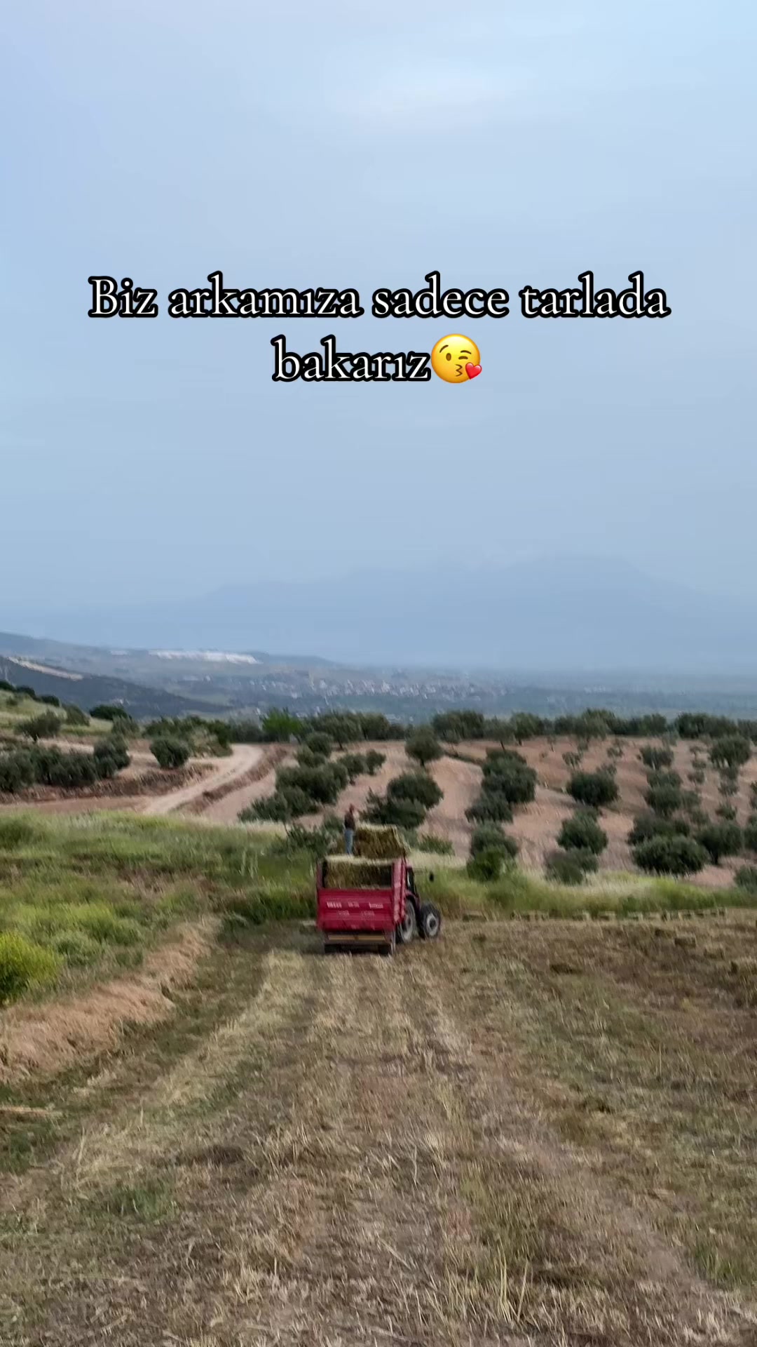 @Fırat Toraman