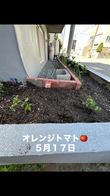 @ケムまる🍎🧄🍮