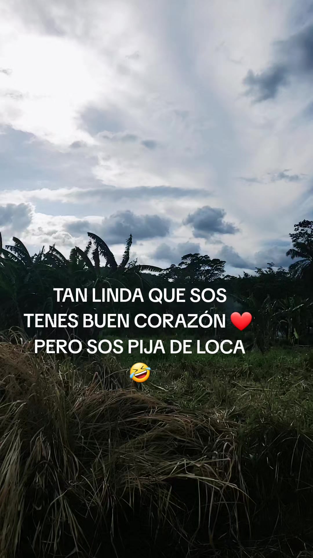@CRISPITA 🦁🦁🦁🦁